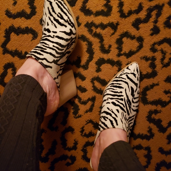 Brand New Cupid Zebra Striped Mules! - Picture 8 of 9